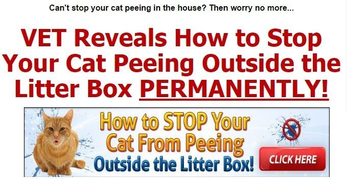 Cat Spraying No More