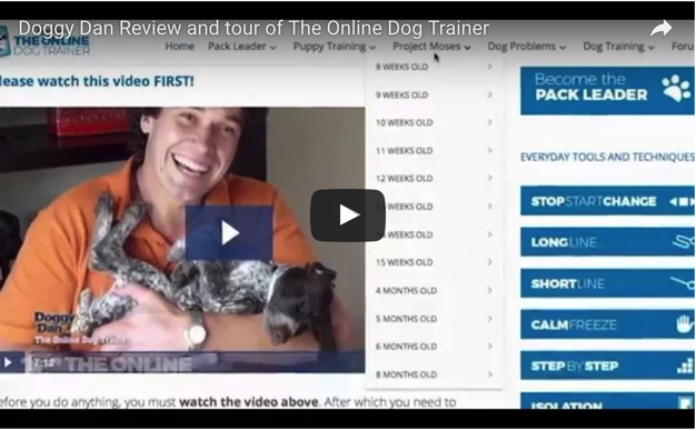 The Online Dog Trainer